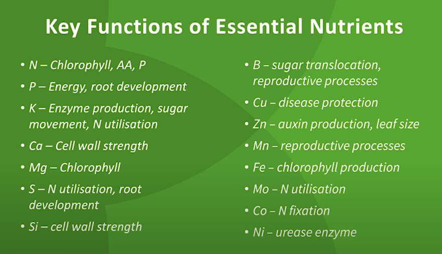 key-essential-nutrients